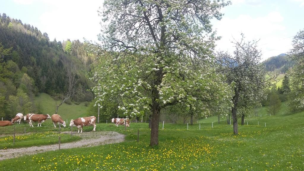 Eggbauer Villa Sankt Anton an der Jessnitz Kültér fotó